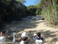 テスト投稿です、後日編集予定です。