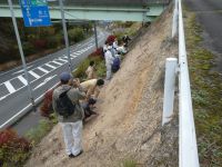 同前見学地③のり面側方、表面ののり面保護工（厚層基材吹付）は侵食流亡