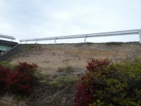 見学地③国道沿いのり面、平坦面にほぼ調和的に堆積した中新統砂岩