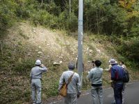 見学地①宇甘川下流左岸山際の山砂利層露頭、風化され一見段丘礫層に見まがう感じ。