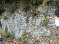 道路沿いのり面、山砂利層分布から基盤の泥質岩に変わる