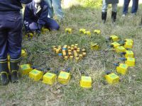 ハドルテスト、地震計の動作状況のチェック